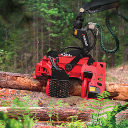 Dec 2020 Forest Talk: Punched-up productivity