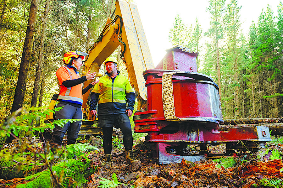 Women in Forestry - Learning on the job