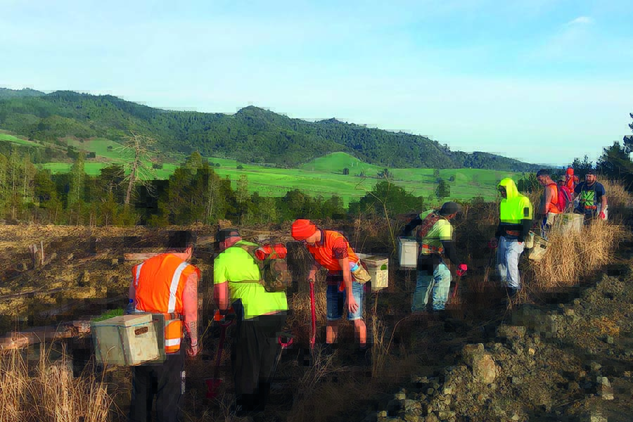 From lockup to logging