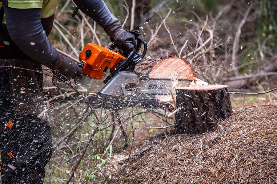 Silence in the woods: The advent of electric chainsaws