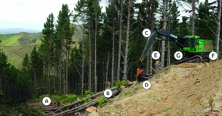 Maximising the benefits of mechanisation