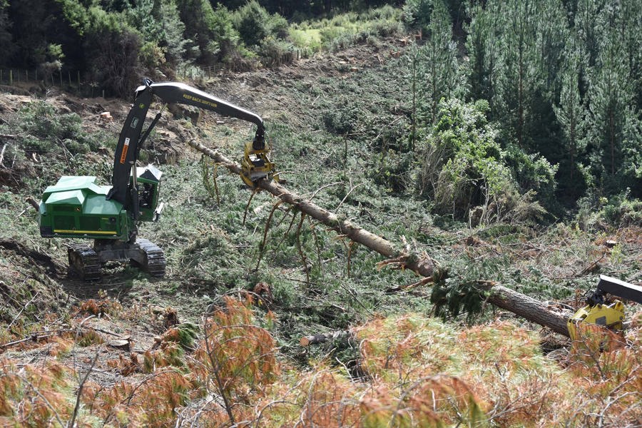 August 2023 Shaws Wire Ropes Iron Test