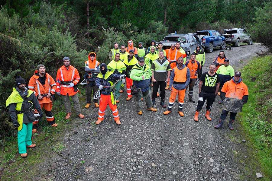 Silviculture: Good people, good business