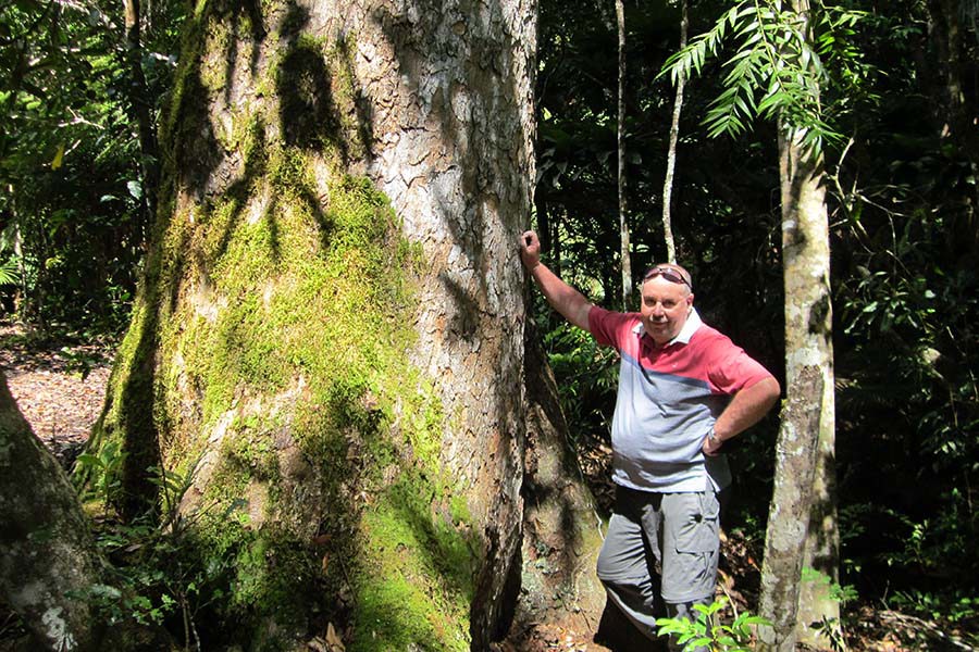 Tall Timber: The champion of indigenous forestry