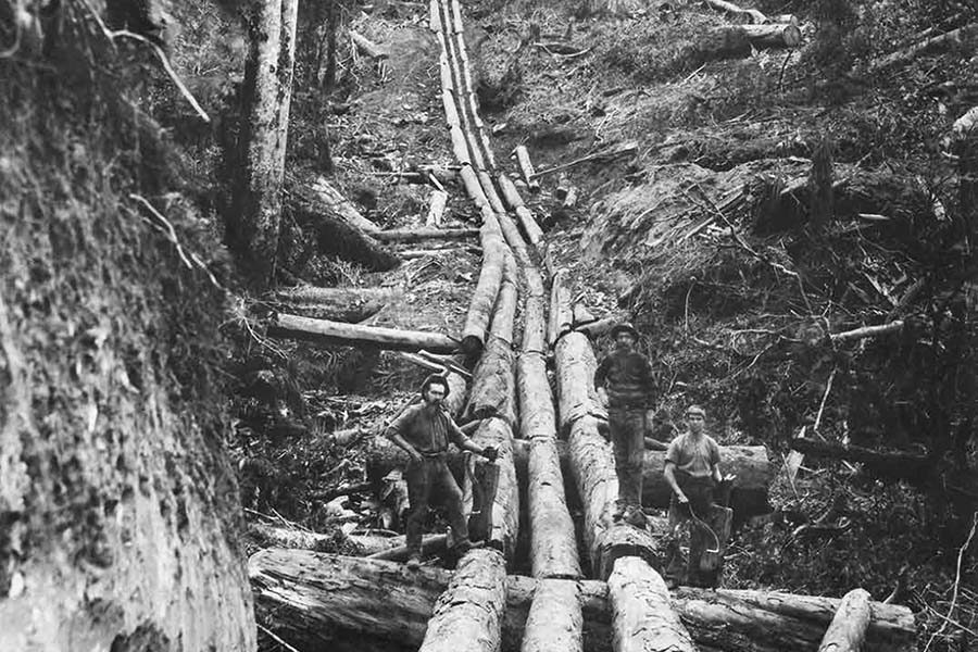 Looking Back: Log shoot of note at Kakahi
