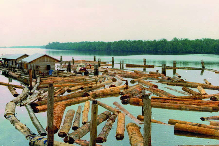 Looking Back; The Dayak Queen