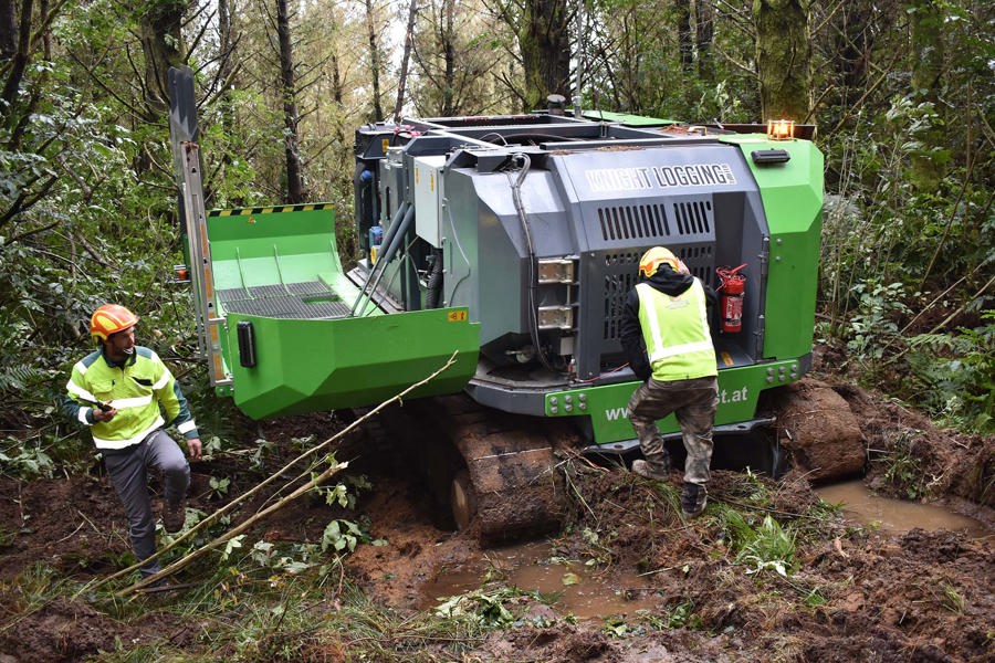 Shaws Iron Test: Big engine, Big results