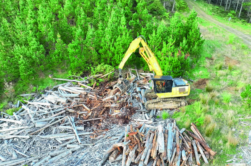 June 2024 Shaws Iron Test