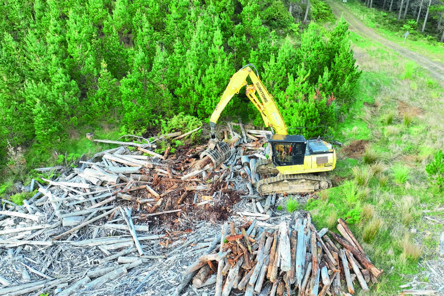 Shaws Iron Test; One quick slash grapple