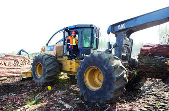 October 2024 Women in Forestry