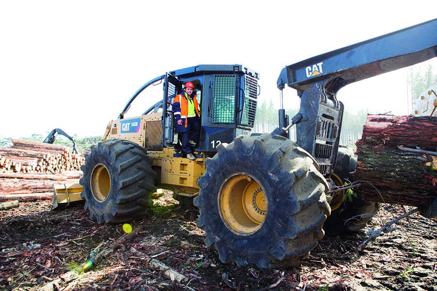 Women in Forestry: East Coast women step up