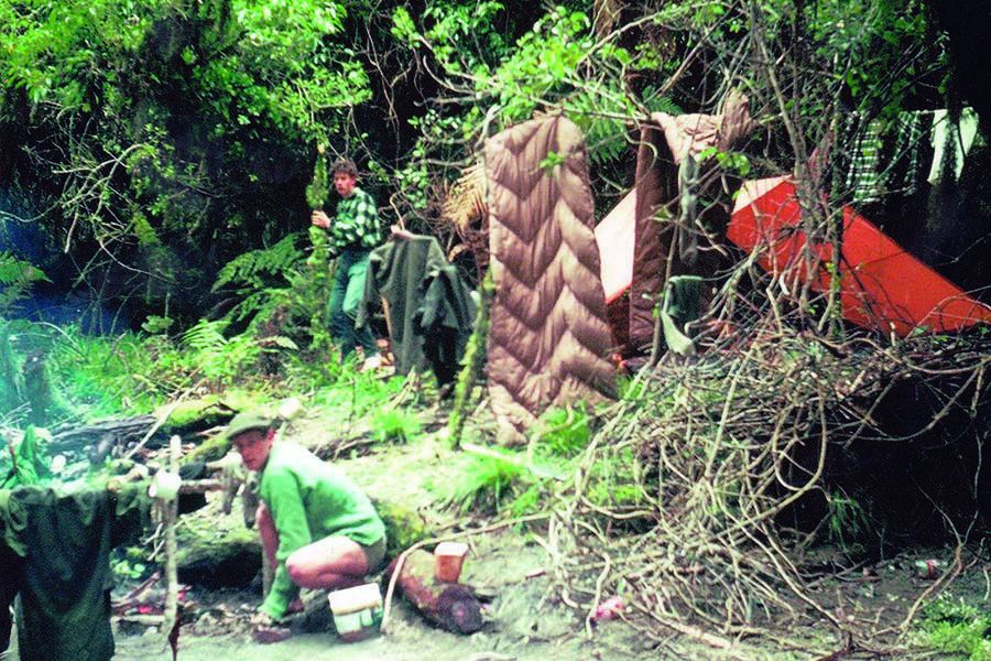 Looking Back; Eco Survey and a dog up the Waioeka