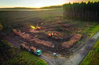 August 2025 Log Haulage