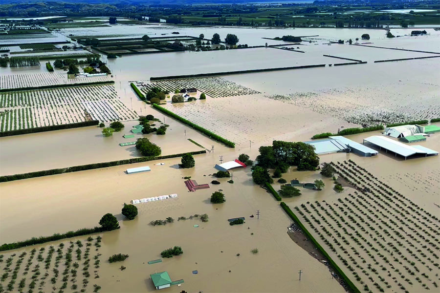 Special Feature: Disaster Response; From disaster response to recovery and resilience