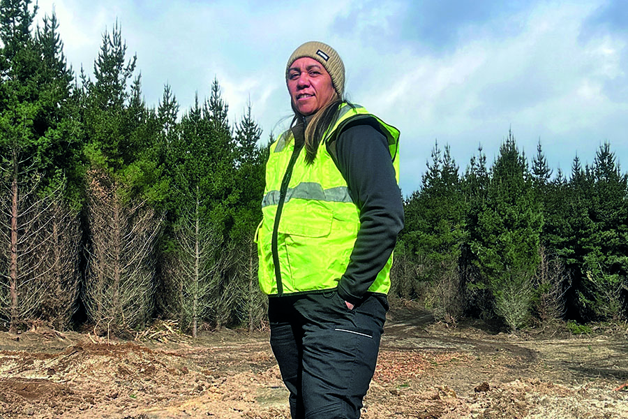 Women in Forestry; On hard work and connection