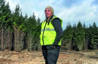 December 2025 Women in Forestry
