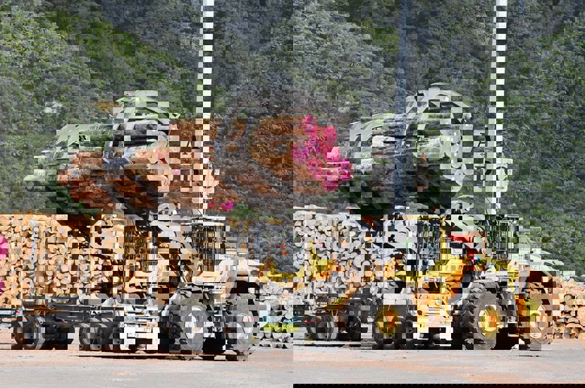 May 2025 Shaws Iron Test