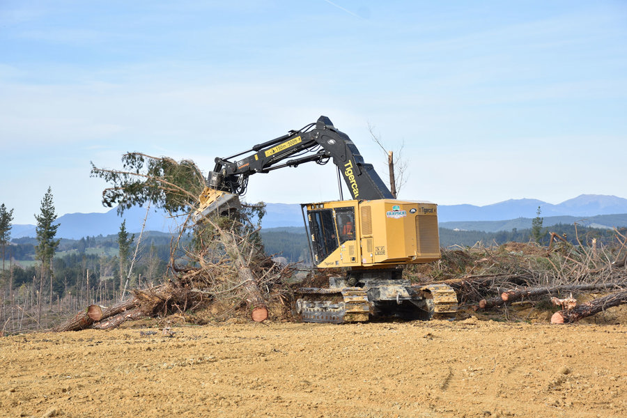 October 2025 Shaws Iron Test