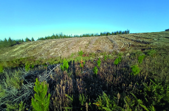 September 2025 Harvesting