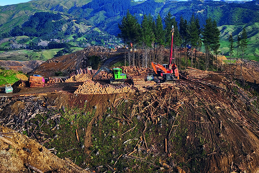 Health & Safety; Sharpening the saw: Why certification matters in forestry