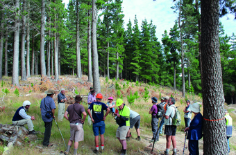 August 2026 Tall Timber