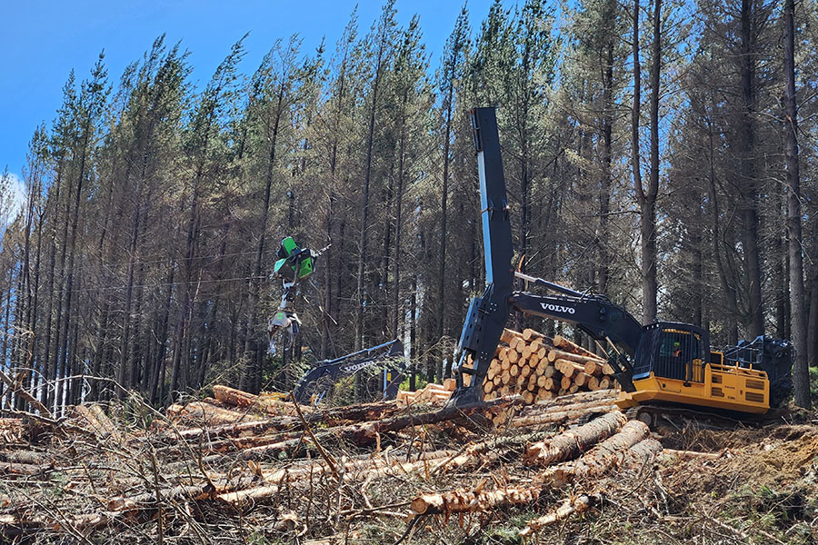 New Developments: Forestry Technology Innovating with auto mation and robotics
