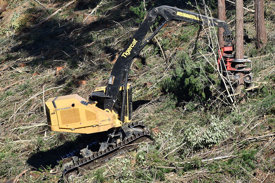 March 2026 Shaws Iron Test