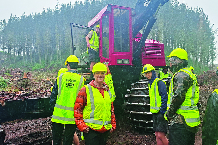 Discover Forestry; Resources examine the facets of forestry