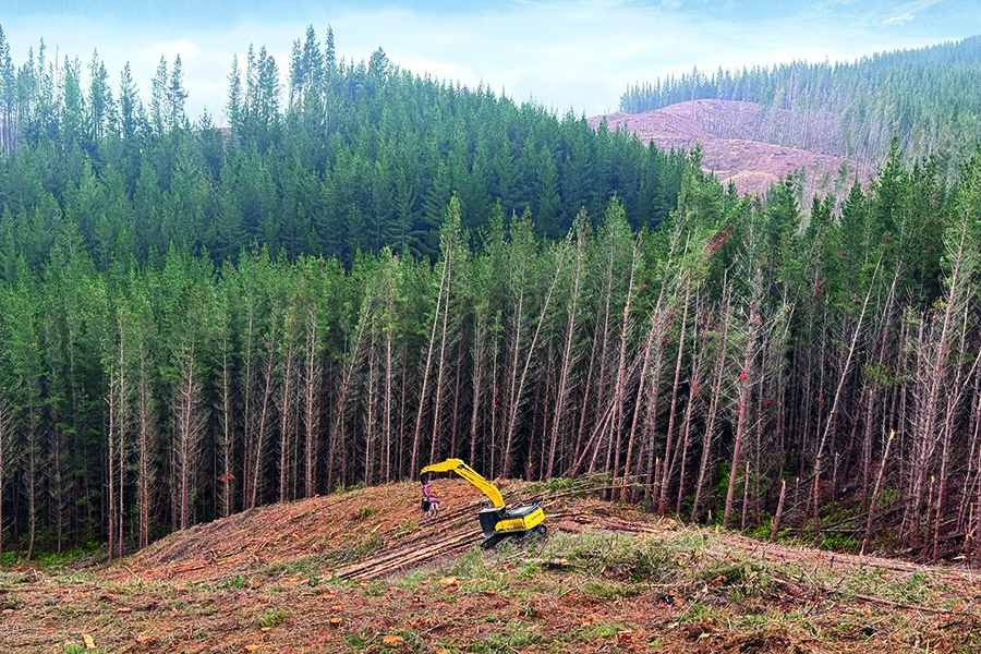 Harvesting; How story damage impacts skidder extraction