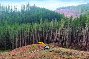 September 2026 Harvesting 