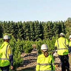 Largest Australian forestry land acquisition in a decade
