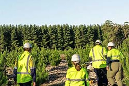 Largest Australian forestry land acquisition in a decade