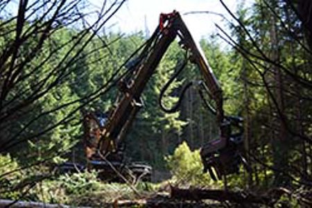 Hybrid harvester impresses