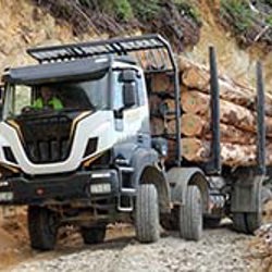 Overseas truck drivers needed to fill shortage