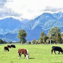 Agricultural emissions proposal needs a rethink