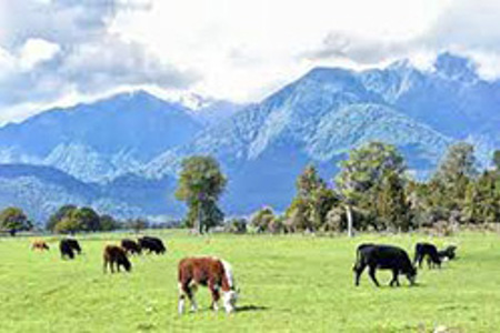 Agricultural emissions proposal needs a rethink