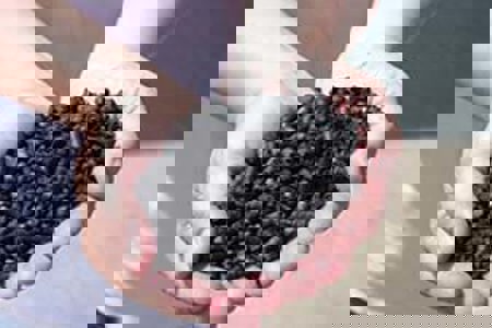 Creating value from biomass through biochar