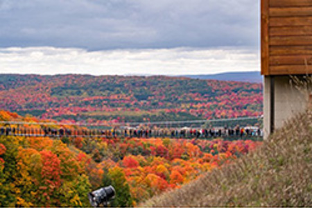 Timber-towered bridge a nod to logging industry