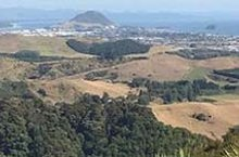 Showcasing Māori low-carbon land-use 