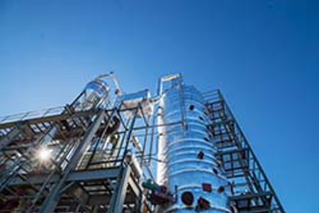 Forestry stopped in its tracks?