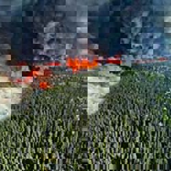 NZ support for Canadian wildfires