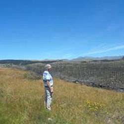 Carbon forestry: The debate continues