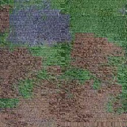 Advances in Spatial Storm and Pest Damage Monitoring
