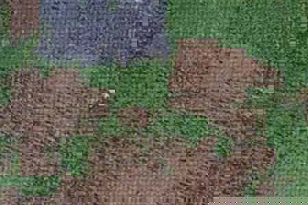 Advances in Spatial Storm and Pest Damage Monitoring