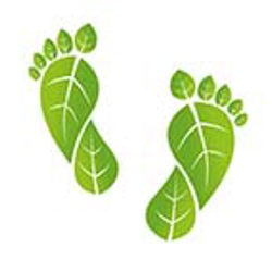 Council assesses its carbon footprint