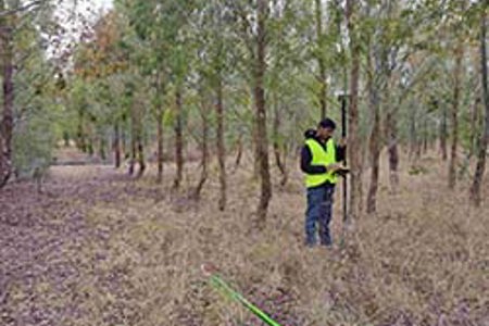 Using drones to safeguard forests