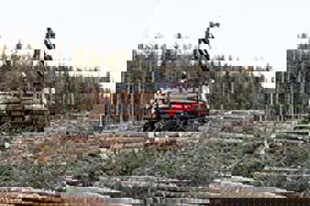 Low-impact forestry