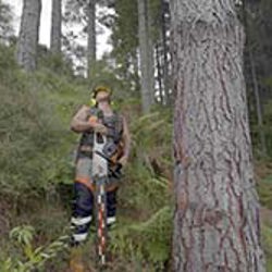 Work smarter, not harder, to reduce fatigue