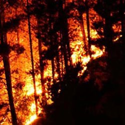Fire prompts risk warning
