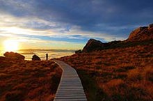 11th Great Walk for New Zealand